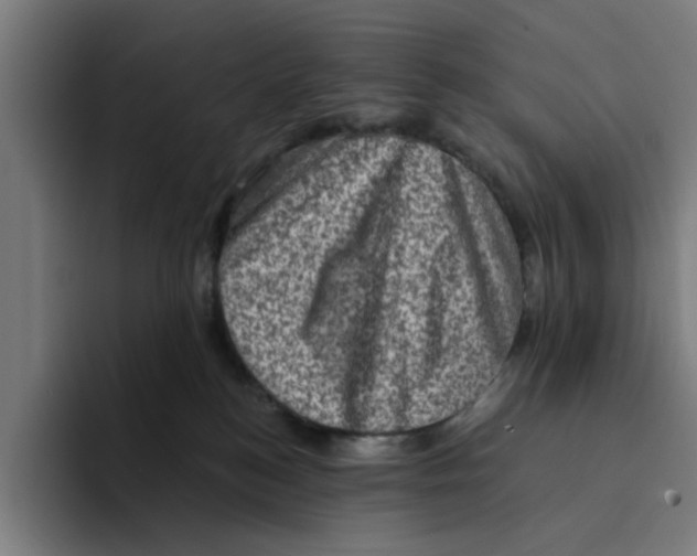 X0000094210184200711161836