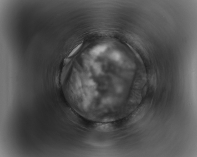 X0000094210185200711161836