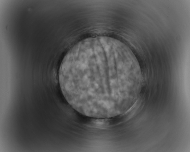X0000094210187200711161836