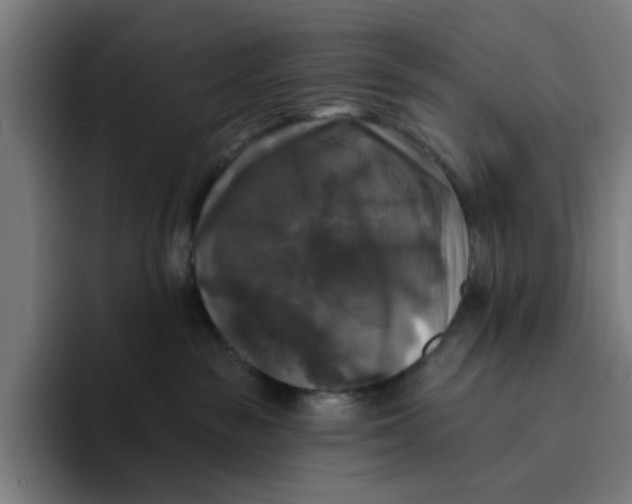 X0000094210189200711161836