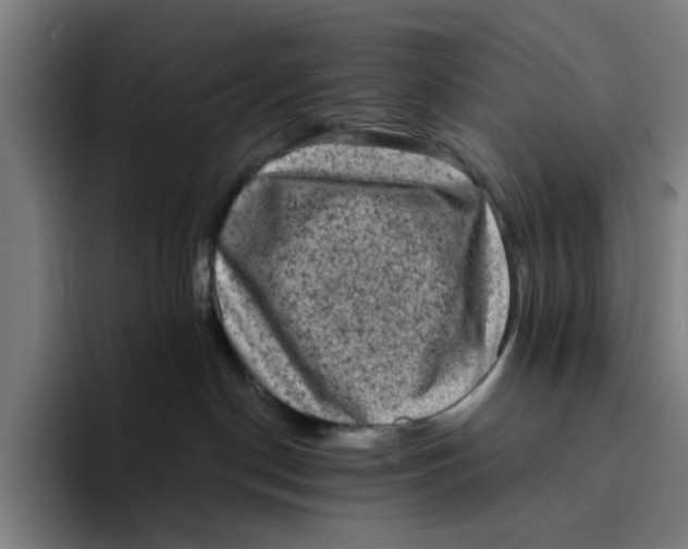X0000094210190200711161836