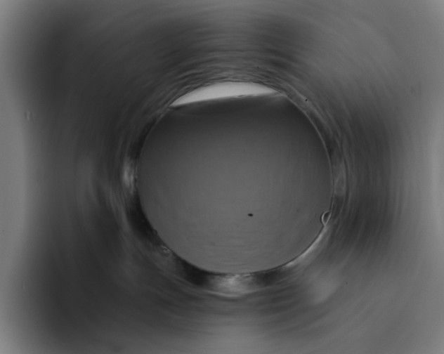 X0000094210191200711161836