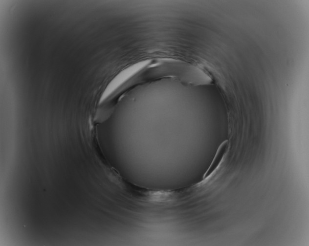 X0000094210192200711161836