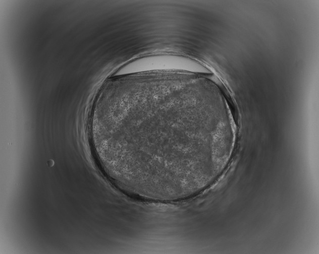 X0000094210193200711161835