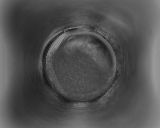 X0000094210198200711161835