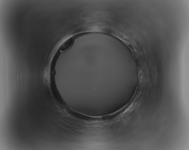 X0000094210200200711161835