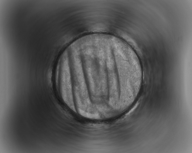 X0000094210201200711161835