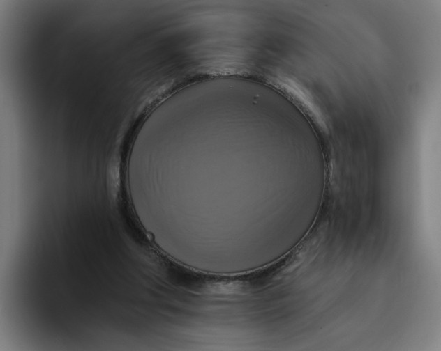 X0000094210202200711161835