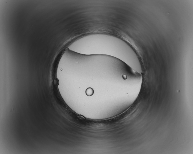 X0000094210203200711161835