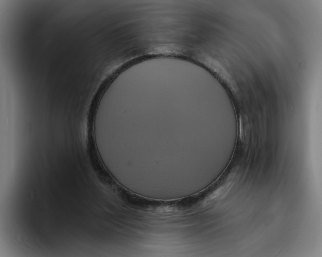 X0000094210204200711161835