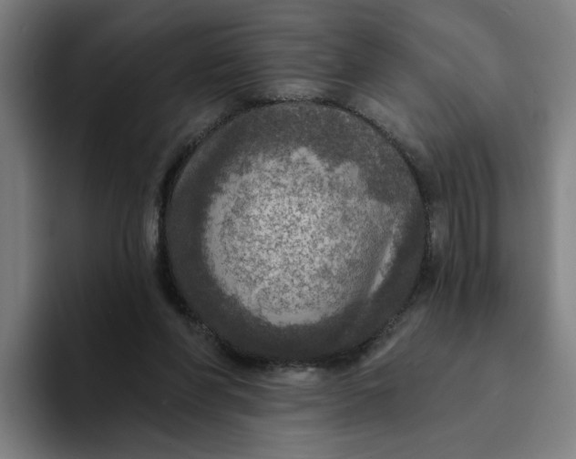X0000094210206200711161835