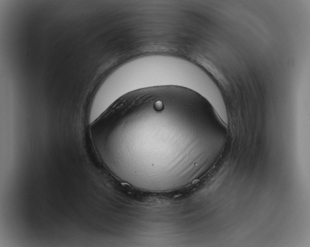 X0000094210207200711161835