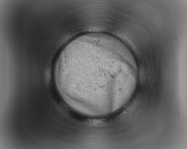 X0000094210208200711161835