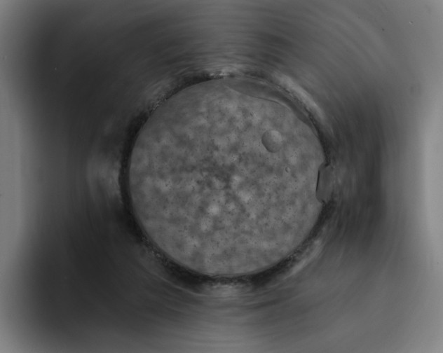 X0000094210209200711161835