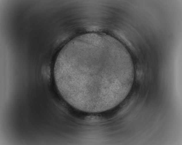 X0000094210211200711161835