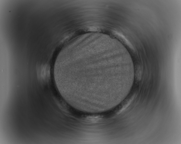 X0000094210213200711161835
