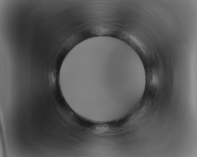 X0000094210214200711161835