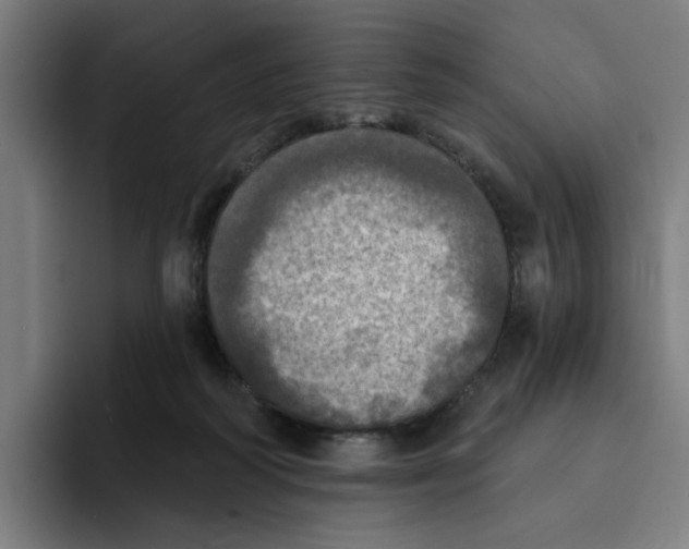 X0000094210218200711161835