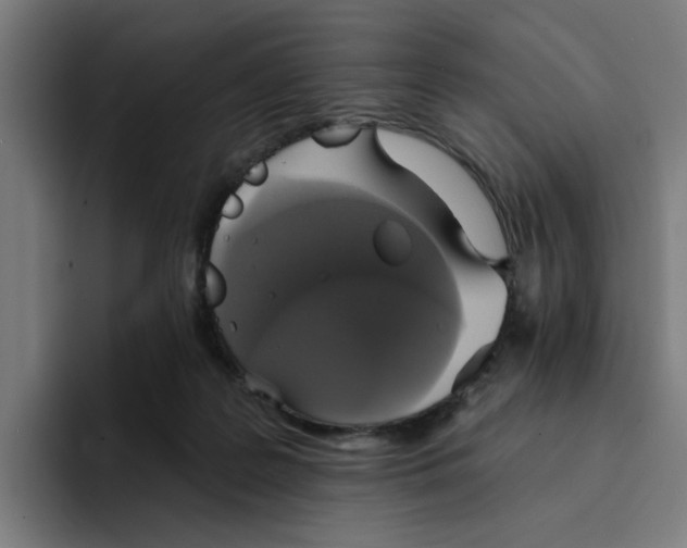 X0000094210219200711161835