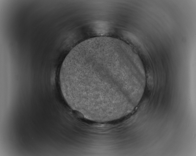 X0000094210221200711161835