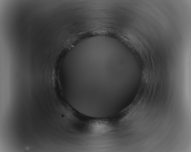 X0000094210223200711161835