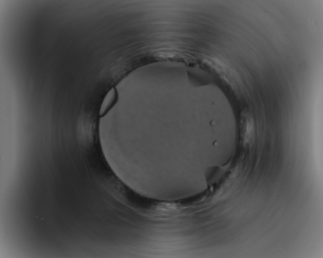 X0000094210227200711161835