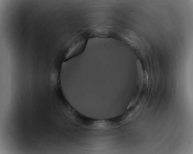 X0000094210231200711161835