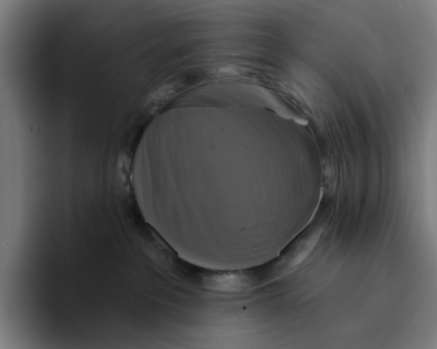 X0000094210237200711161835