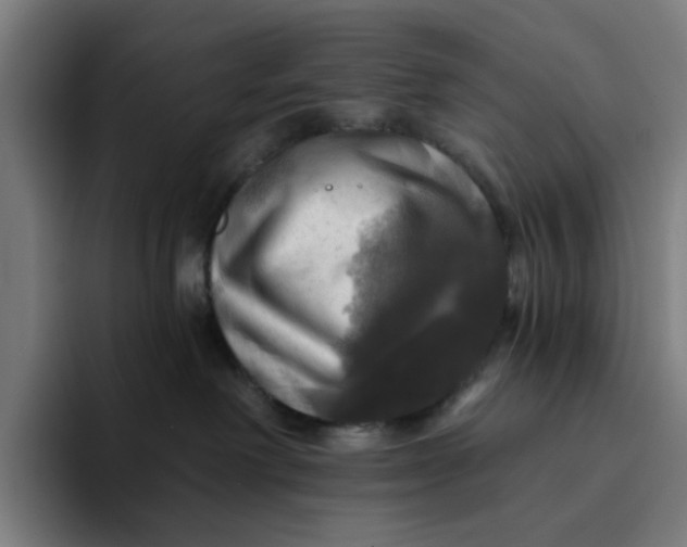 X0000094210238200711161835