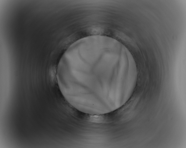 X0000094210240200711161835