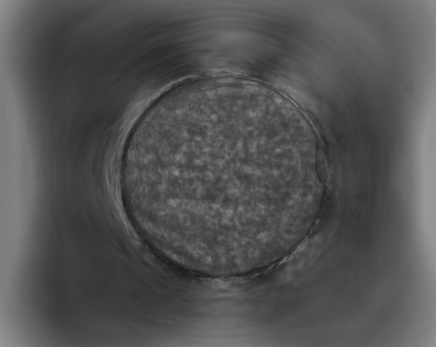 X0000094210241200711161834