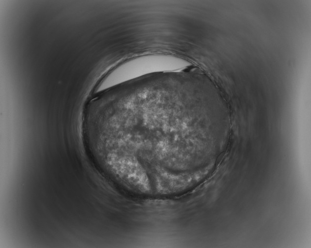 X0000094210242200711161834