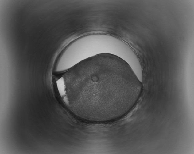X0000094210244200711161834