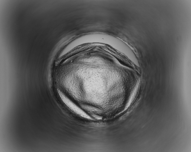 X0000094210245200711161834