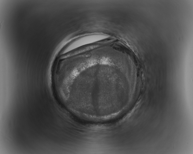 X0000094210246200711161834