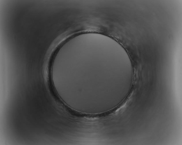 X0000094210247200711161834