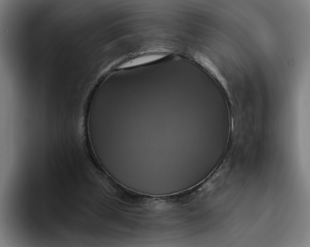 X0000094210249200711161834