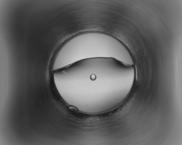 X0000094210252200711161834