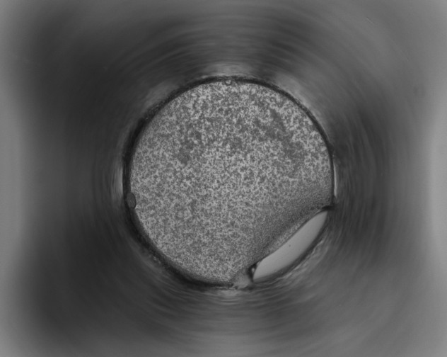 X0000094210253200711161834