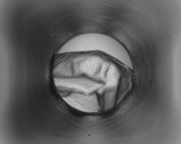 X0000094210255200711161834