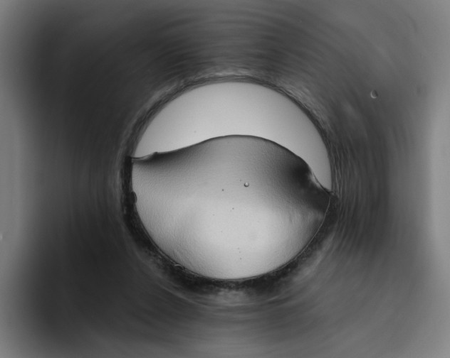 X0000094210256200711161834