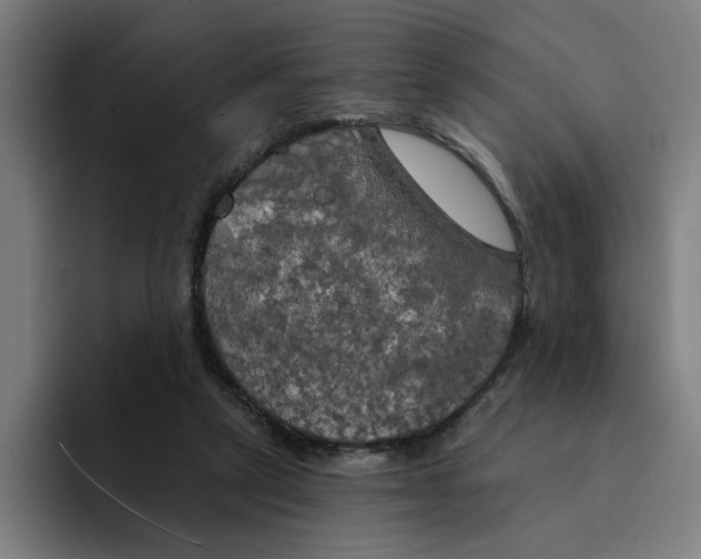 X0000094210257200711161834