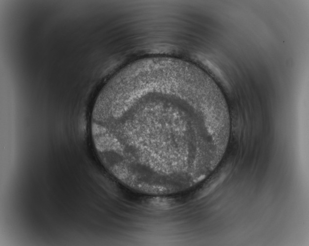 X0000094210261200711161834