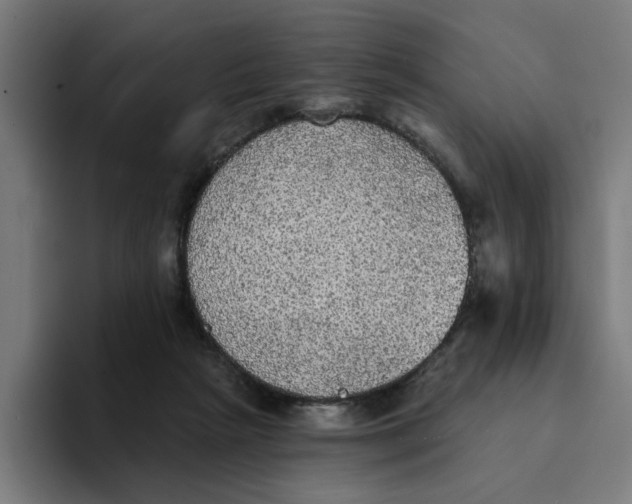 X0000094210265200711161835