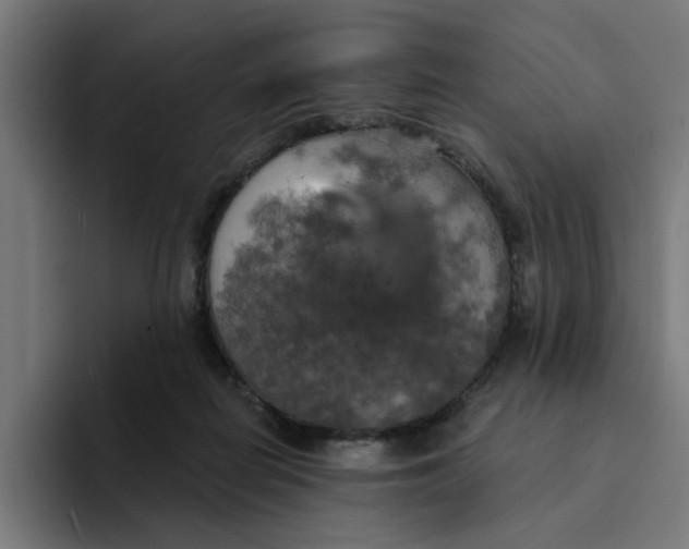 X0000094210266200711161835