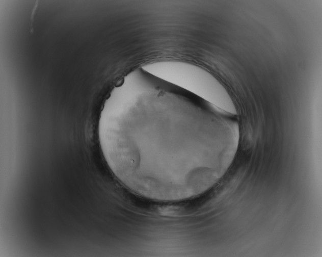 X0000094210268200711161835