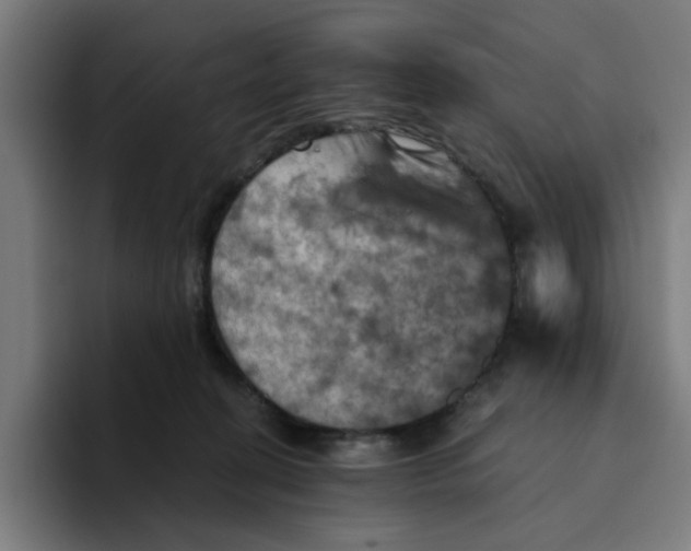 X0000094210274200711161835