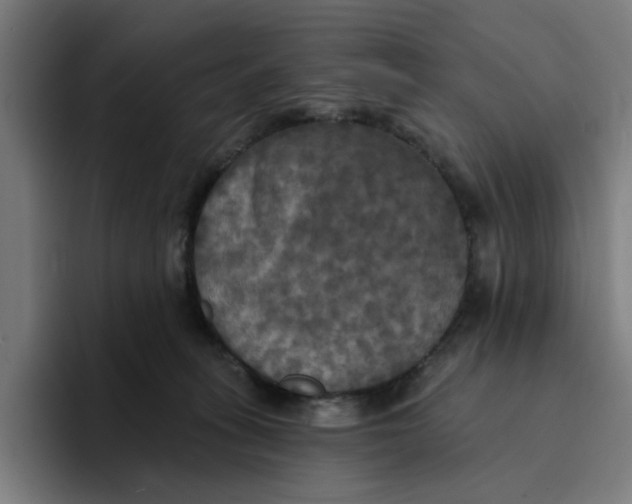 X0000094210275200711161835