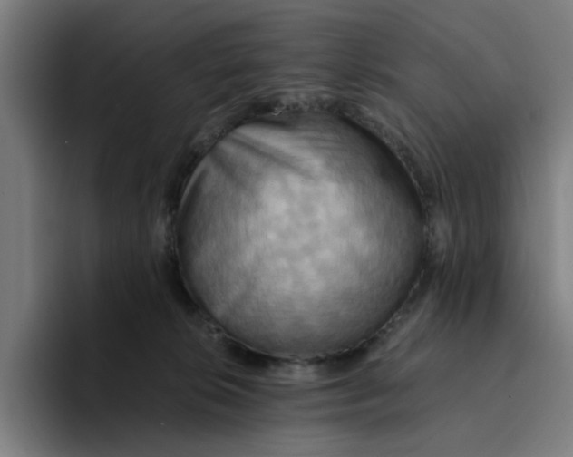 X0000094210276200711161835