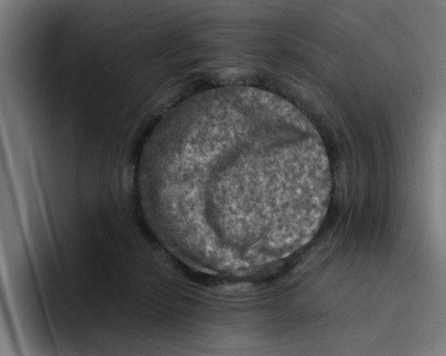 X0000094210278200711161835